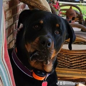 Meet your Posher, Kim